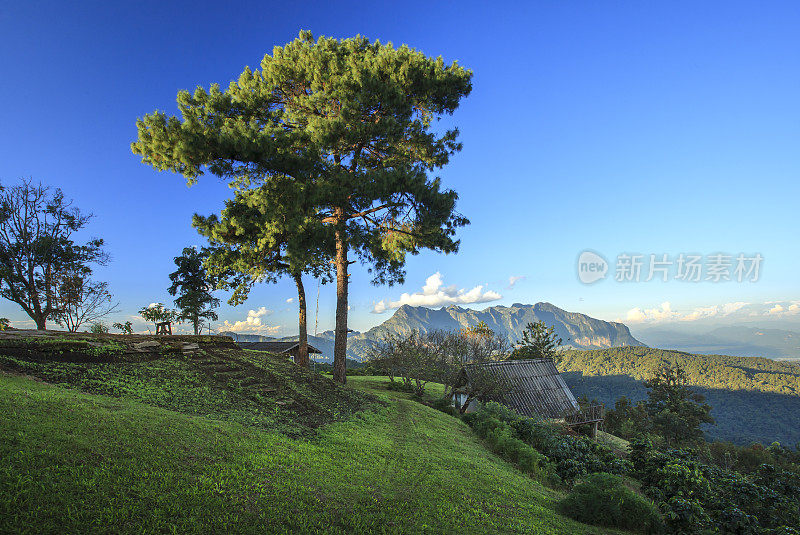 早上在泰国清迈的Doi Luang Chiang Dao欣赏美丽的山景